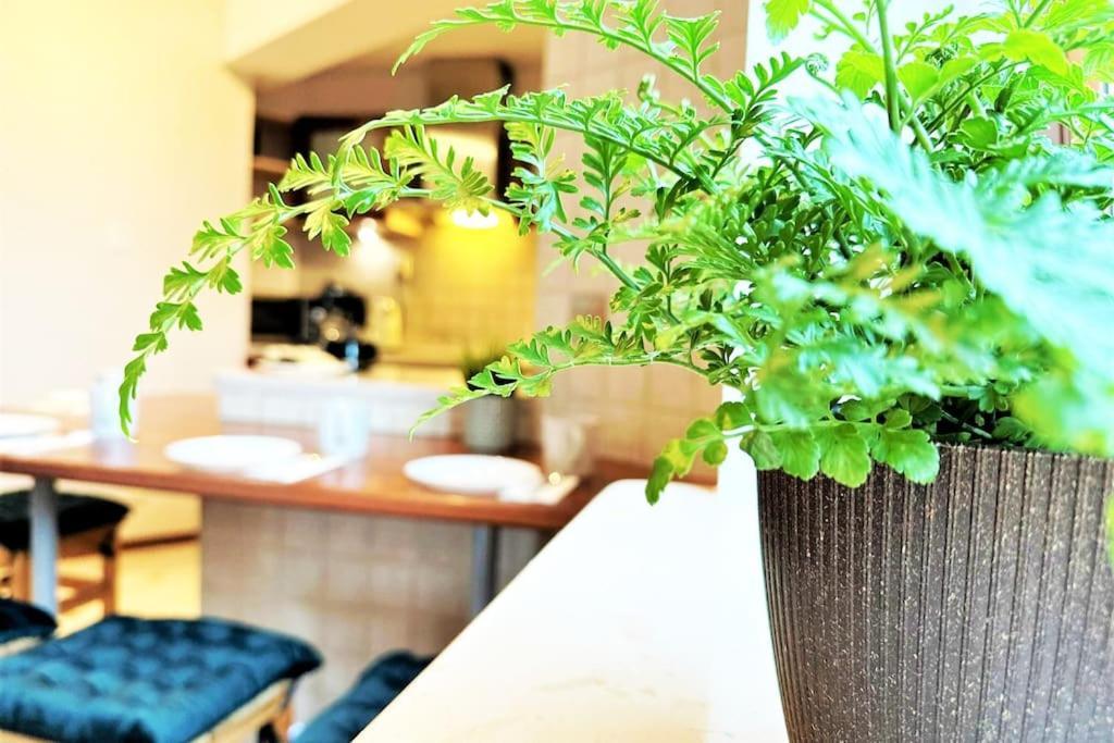 Exclusive Penthouse Near Citycenter 120M2 +Netflix Kraków Zewnętrze zdjęcie